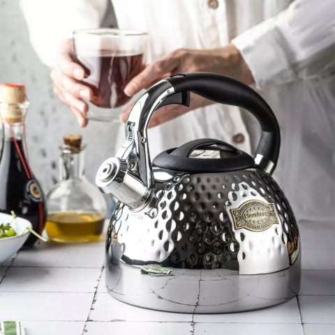 KETTLE WITH WHISTLE 3L KLAUSBERG KB-7644