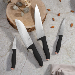 ZESTAW 4 NOŻY BERLINGER HAUS BH-2956 BLACK ROSE