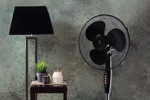 WENTYLATOR PODŁOGOWY OSCYLACYJNY BERLINGER HAUS BH-9130 BLACK ROSE