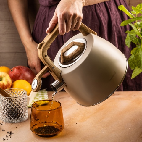 CZAJNIK STALOWY Z GWIZDKIEM 2,5L KLAUSBERG KB-7917