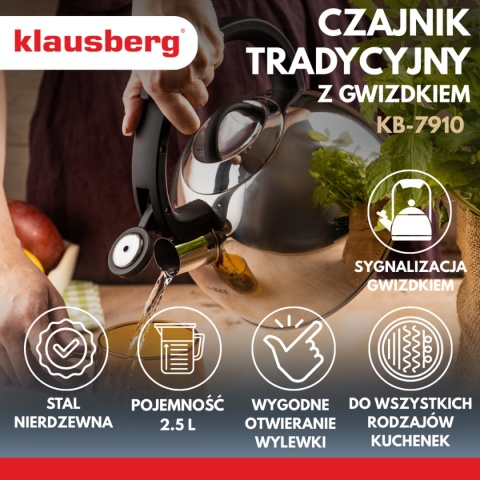 CZAJNIK STALOWY Z GWIZDKIEM 2,5L KLAUSBERG KB-7910