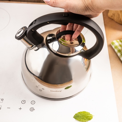 CZAJNIK STALOWY Z GWIZDKIEM 2,5L KLAUSBERG KB-7910