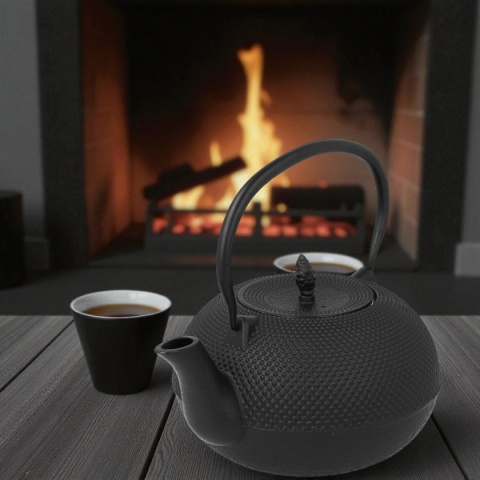 ZAPARZACZ ŻELIWNY 850ml Z FILTREM I PODGRZEWACZEM 2489