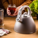 CZAJNIK STALOWY Z GWIZDKIEM 2,5L KLAUSBERG KB-7953