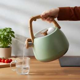 CZAJNIK STALOWY Z GWIZDKIEM 2,5L KLAUSBERG KB-9039 PISTACJOWY